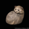 Tiger kitten cat figurine. Hand-painted collectable sculpture by Windstone Editions in stone color