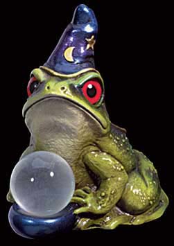 Photo of Frog Wizard