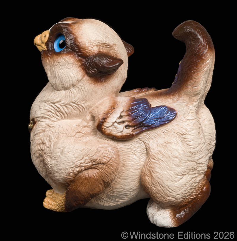 Crouching Griffin Siamese With White
