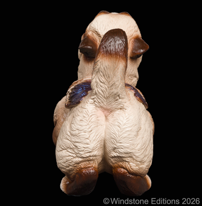 Crouching Griffin Siamese With White
