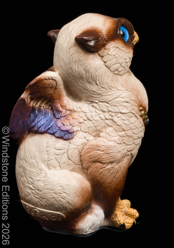 Sitting Griffin Chick Siamese with White Pi3