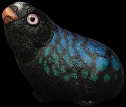 Black Peacock Poad