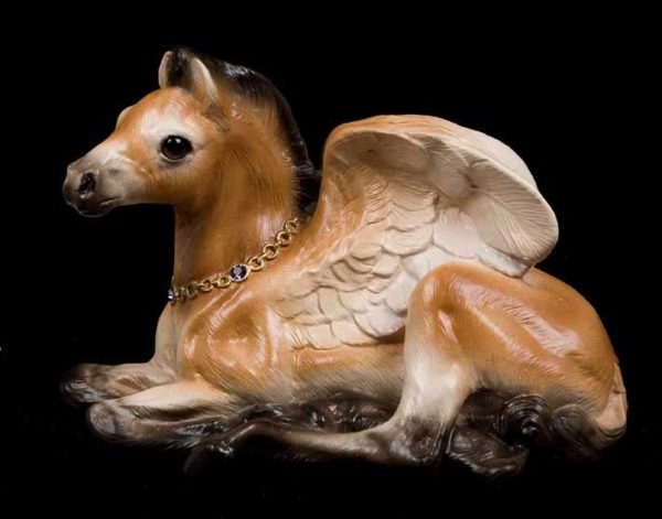 Baby Pegasus - Przewalski's