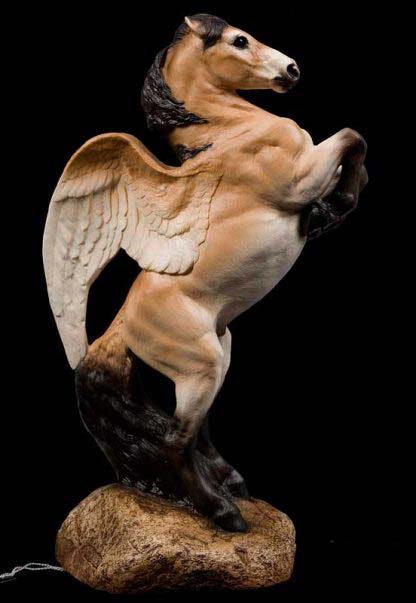 Male Pegasus - Przewalski's