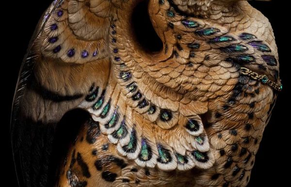 Male Griffin - Leopard Test Paint #4