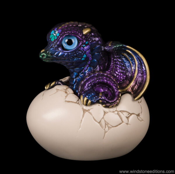 Hatching Dragon fantasy figurine in peacock color. Hand-painted collectible sculpture by Windstone Editions.