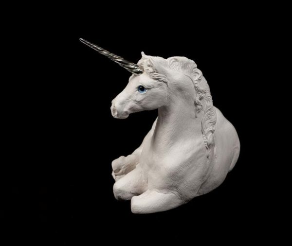 Paint-Your-Own Unicorn with PYO Horn
