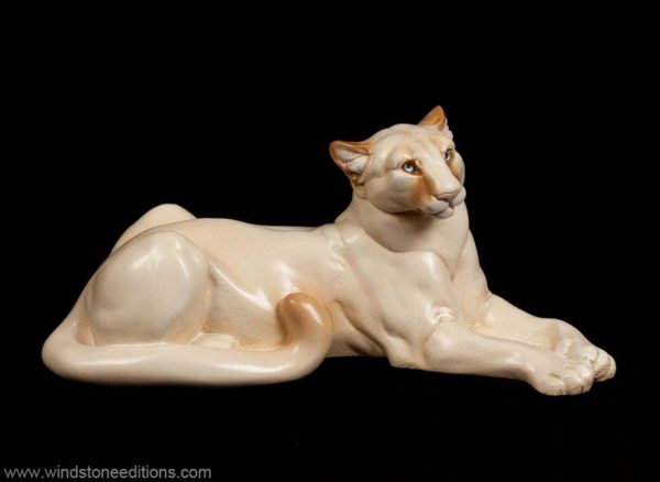 Cougar - Ivory - with blue eyes