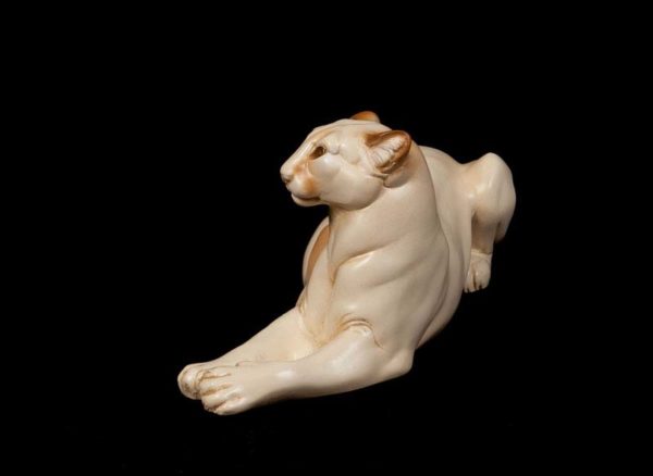 Cougar - Ivory - with yellow gold eyes