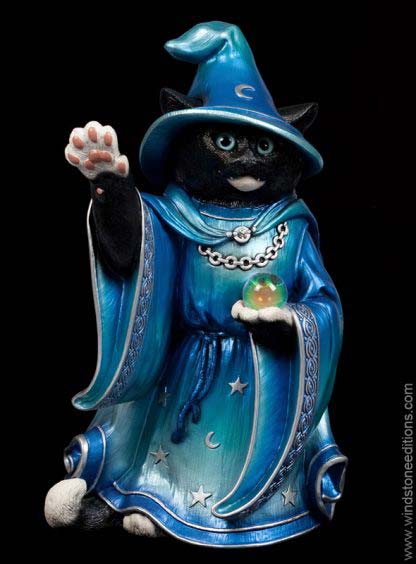 Cat Wizard - Blue Morpho