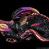 Mother Dragon fantasy figurine in Black Gold with ruby red, metallic violet, and metallic gold trim, blue glass eyes, and amethyst-colored jewels. Hand-painted collectible by Windstone Editions.