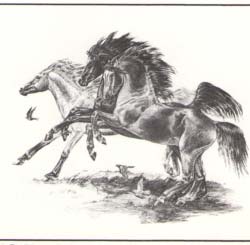 1104 Three Horses print by Melody Peña