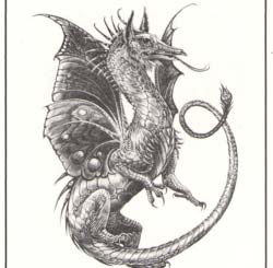1108 Dragon print by Melody Peña