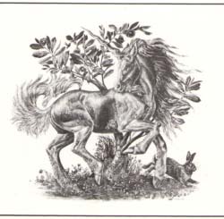 1701 Unicorn with Rabbit print by Melody Peña