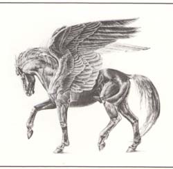 1704 Pegasus print by Melody Peña