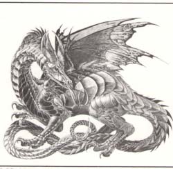 1706 Dragon print by Melody Peña