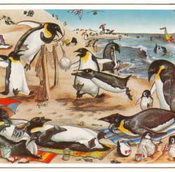 c1123 Penguins at the Beach print by Melody Peña