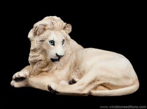 Blond Lion by Windstone Editions