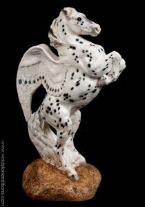 Leopard Appaloosa Male Pegasus #1 by Windstone Editions