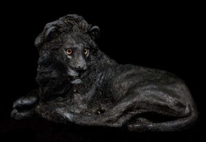 Melanistic Lion by Windstone Editions