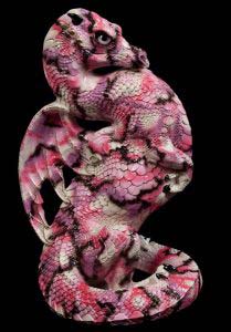 Pink Camouflage Emperor Dragon by Windstone Editions