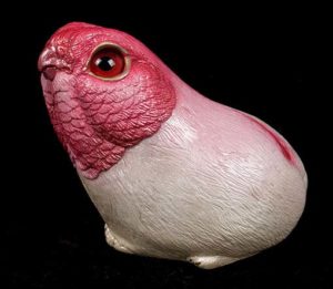 Pink Young Poad by Windstone Editions