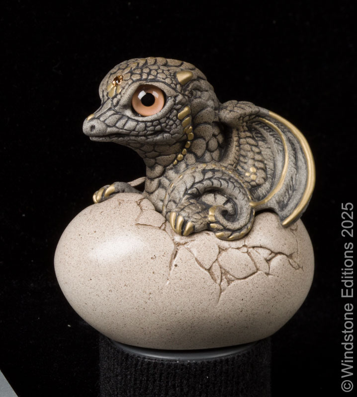Hatching Dragon fantasy figurine. Hand-painted collectable sculpture by Windstone Editions painted in stone color.