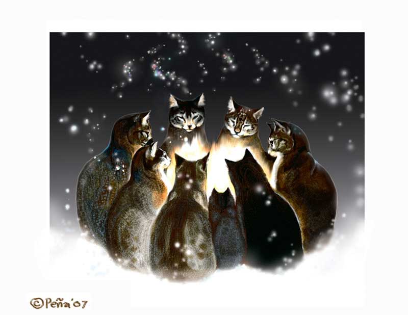 Windstone Editions holiday card - 2007