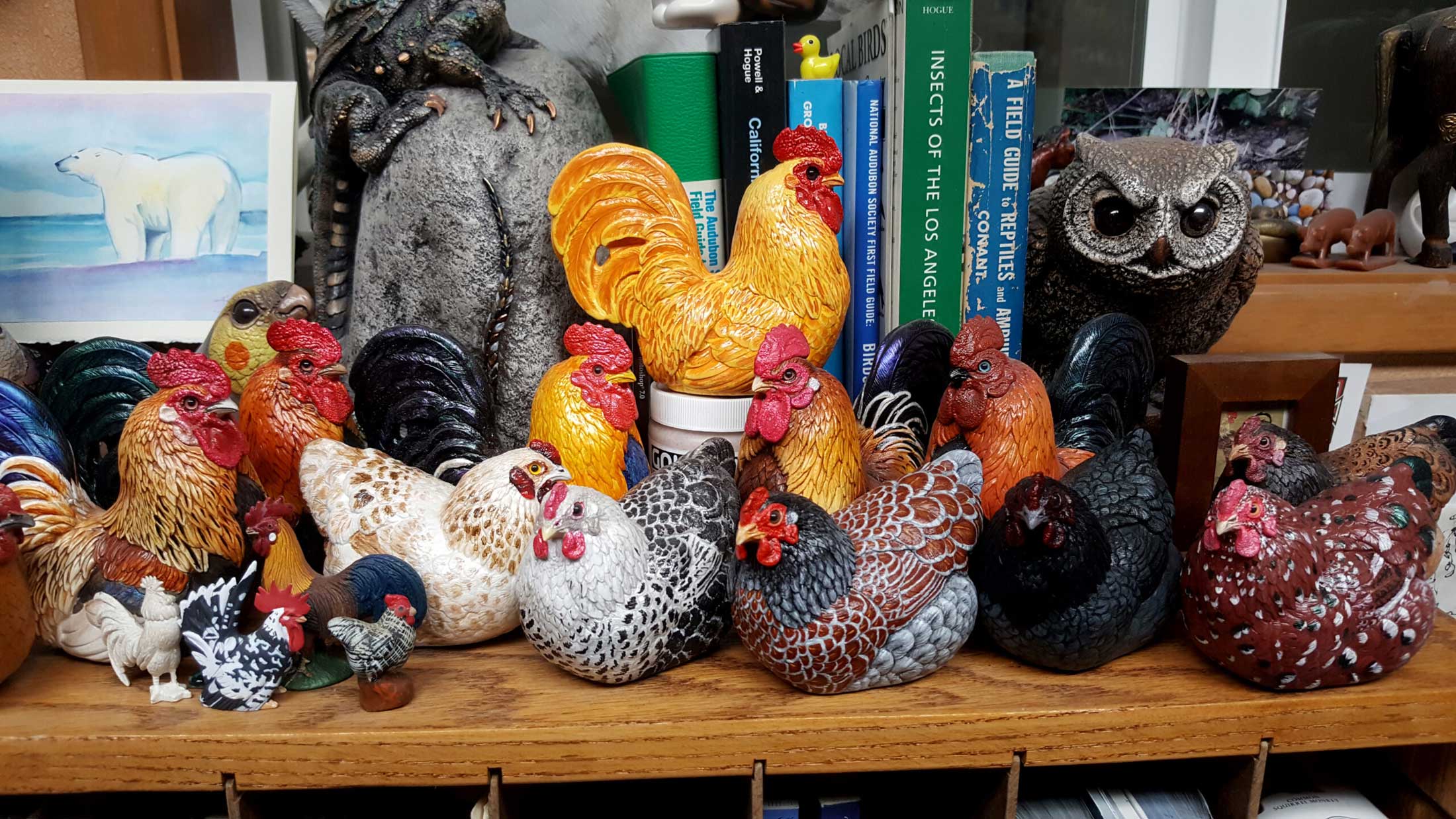 My-chicken-collection-2023