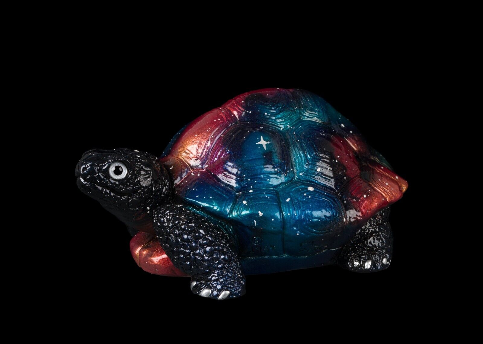 20231110-Black-Nebula-Tortoise-Test-Paint-1-by-Gina