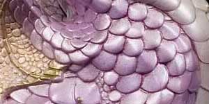 Windstone Editions Lavender Pearl Dragons