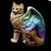 ISO Desert Opal Flap Cat