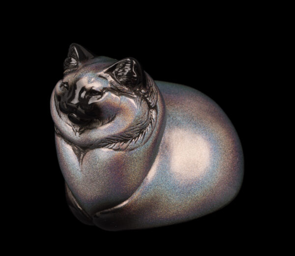 Fat Cat - Rainbow Sparkle - Image 4