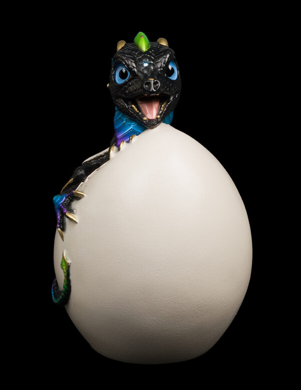 Hatching Emperor Dragon - Black Violet Peacock - Image 2
