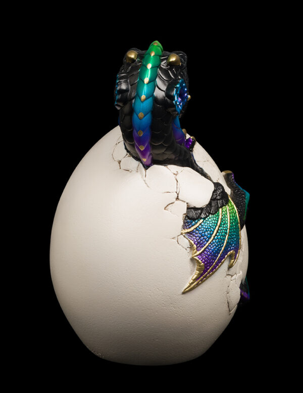 Hatching Emperor Dragon - Black Violet Peacock - Image 4