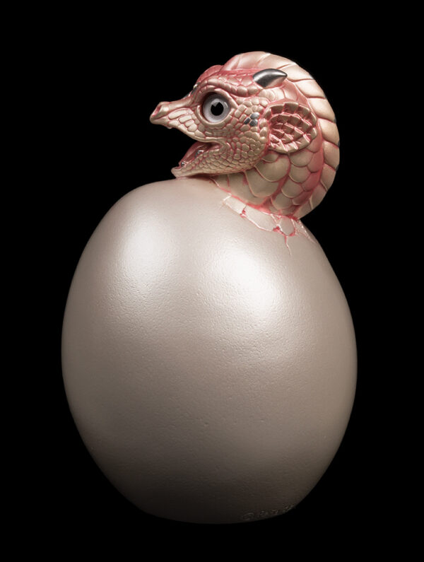 Hatching Emperor Dragon - Shell Pink - Image 3