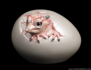 Hatching Kinglet Dragon fantasy figurine. Hand-painted collectable sculpture by Windstone Editions in shell pink.