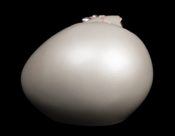 Hatching Kinglet - Shell Pink - Image 3