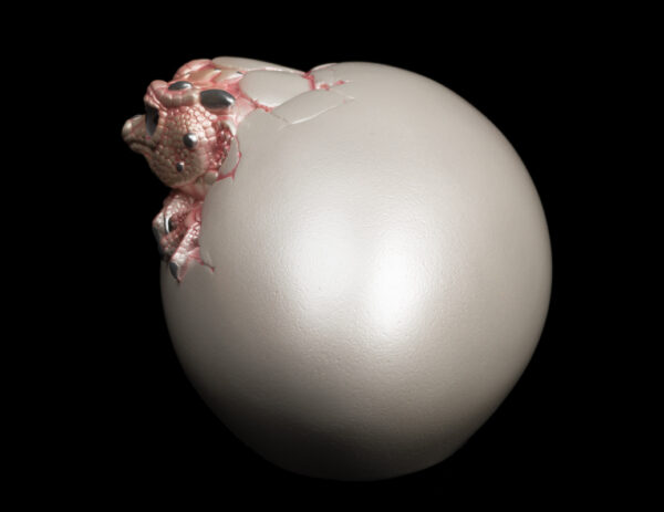 Hatching Kinglet - Shell Pink - Image 4