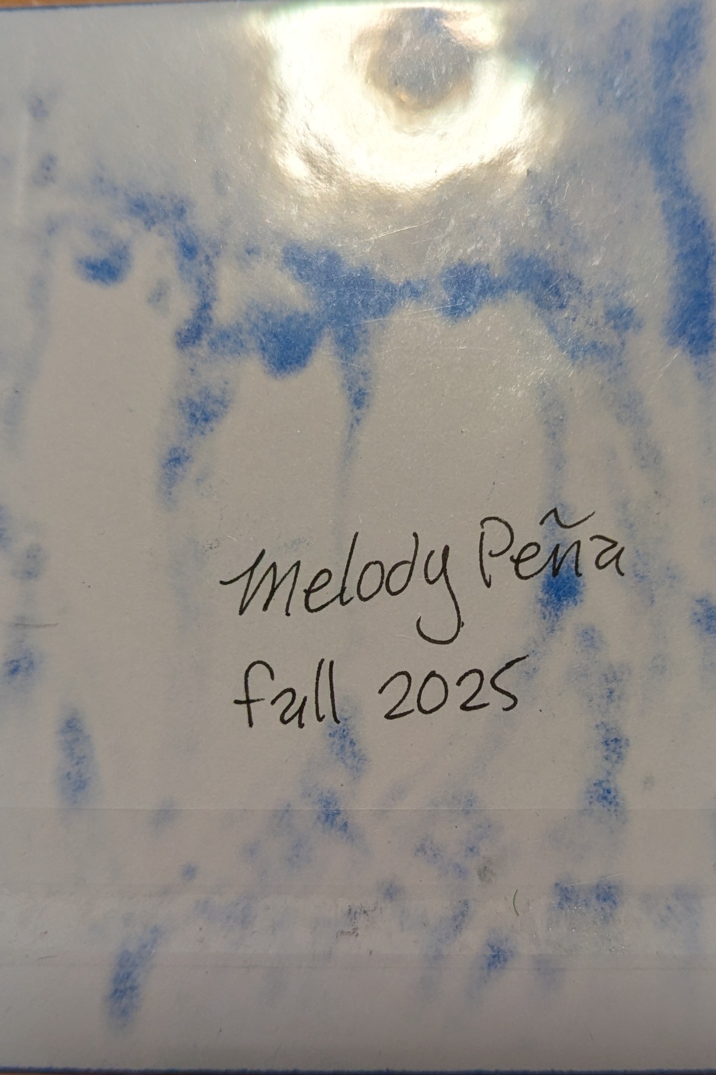 PXL_20251021_172400106