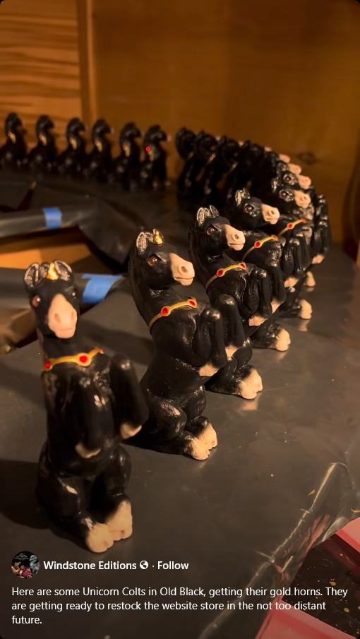 Windstone_Unicorns_Old-Black_colts-ponycorns_Oct2025_Facebook