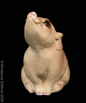 Pig by Windstone Editions