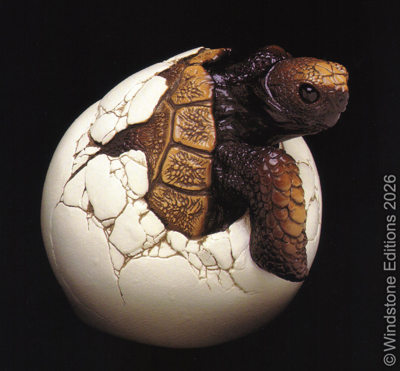 307 Hatching Galapagos Tortoise by Windstone Editions