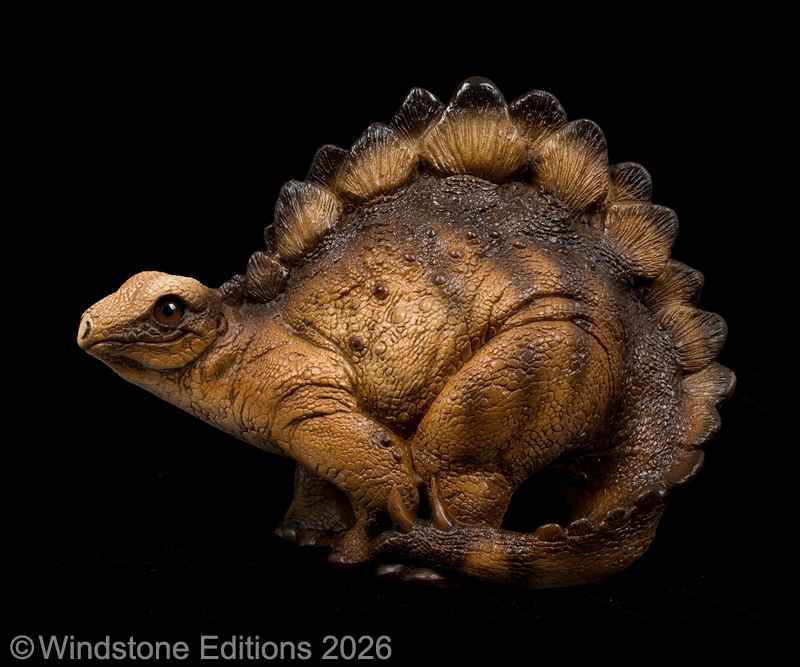 Baby Stegosaurus by Windstone Editions