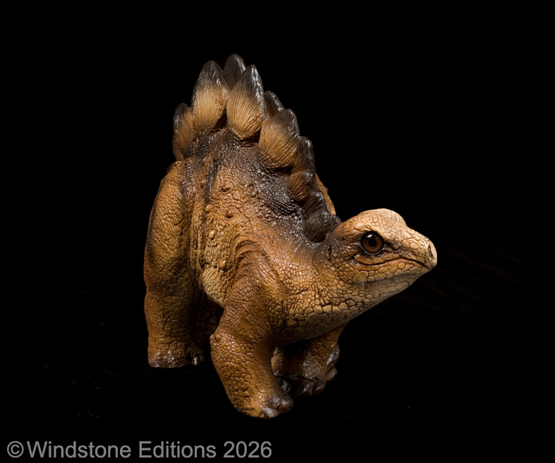 Baby Stegosaurus by Windstone Editions