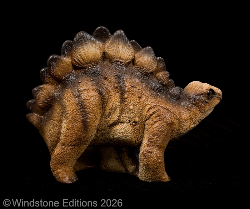 Baby Stegosaurus by Windstone Editions