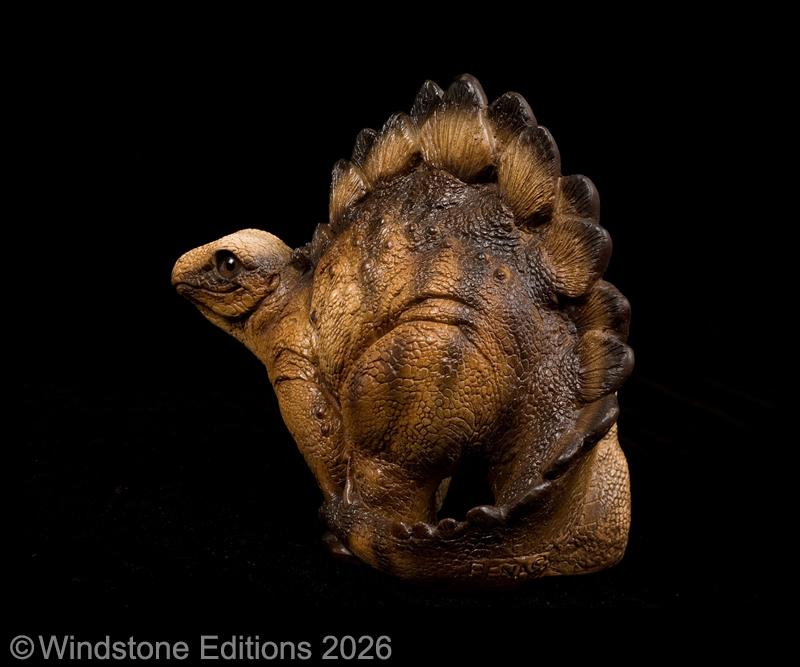 Baby Stegosaurus by Windstone Editions