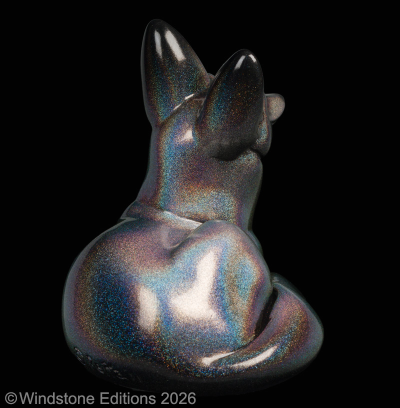 Bat Eared Pebble Fox Rainbow Sparkle Pic3
