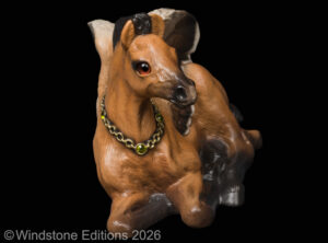Baby Pegasus Natural Pic