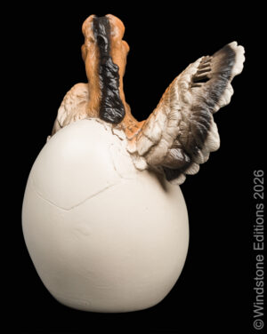 Hatching Pegasus Natural Pic2
